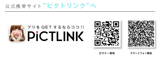 公式サイトピクトリンク